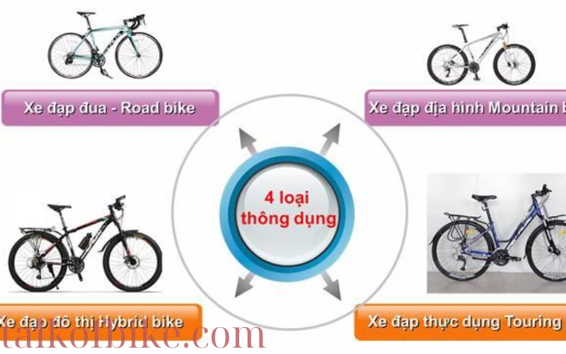 So sánh xe đạp đường phố và xe đạp địa hình Nên chọn loại nào (1)