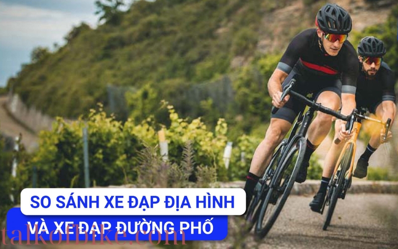 So sánh xe đạp đường phố và xe đạp địa hình Nên chọn loại nào (3)