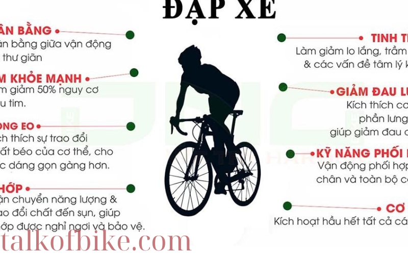 Tại Sao Xe Đạp Là Phương Tiện Di Chuyển Tốt Cho Sức Khỏe (1)